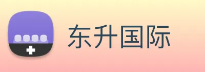 东升国际 logo
